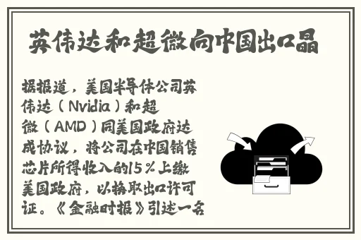 黑土腿法部位娴熟脚法